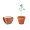 FORGET ME NOT Terracotta pot 'forget me not'