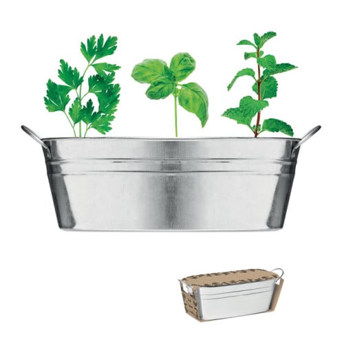 MIX SEEDS Zinc tub with 3 herbs seeds